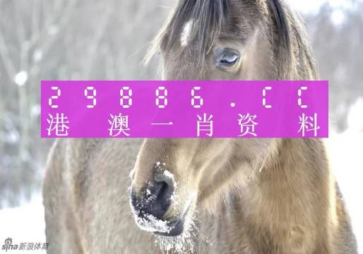 澳门平特一肖100%准资特色,全面释义解释落实