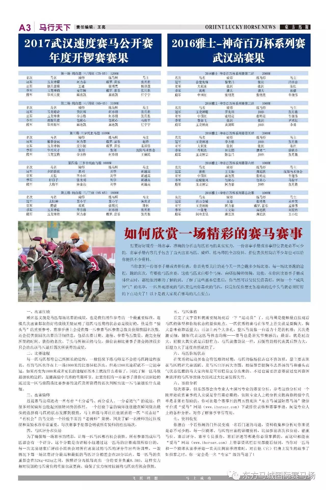 马报最新一期资料图2025版,全面释义解释落实
