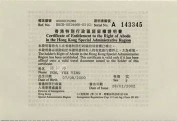 2025年香港历史开奖记录查询,全面释义解释落实