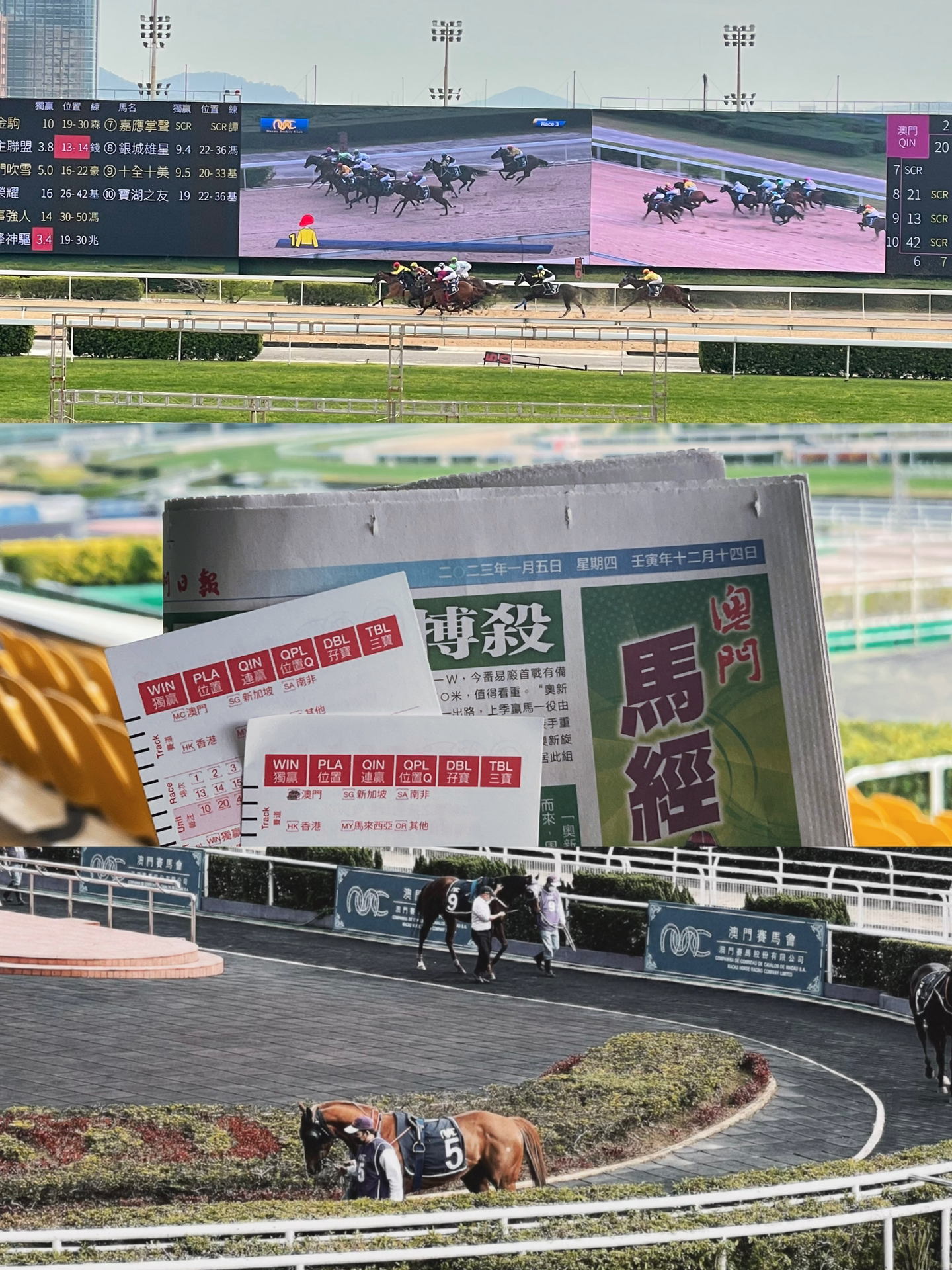 澳门好运来一肖中特,全面释义解释落实