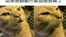 正版四不像四不像肖免费公开,全面释义解释落实
