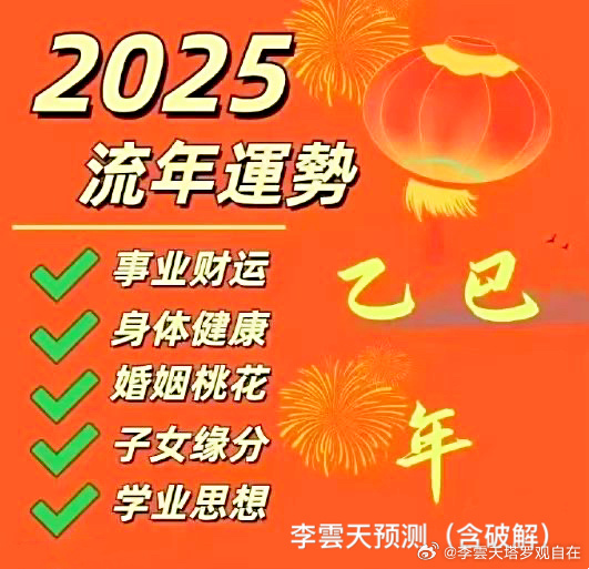 2025王中王精准资料,揭秘2025王中王精准资料，探寻背后的真相与启示