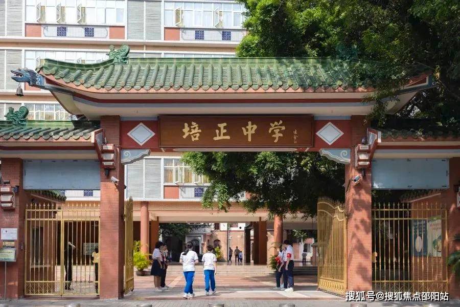 三码中特号,三码中特号的奥秘与探索